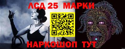 mdma Камышлов